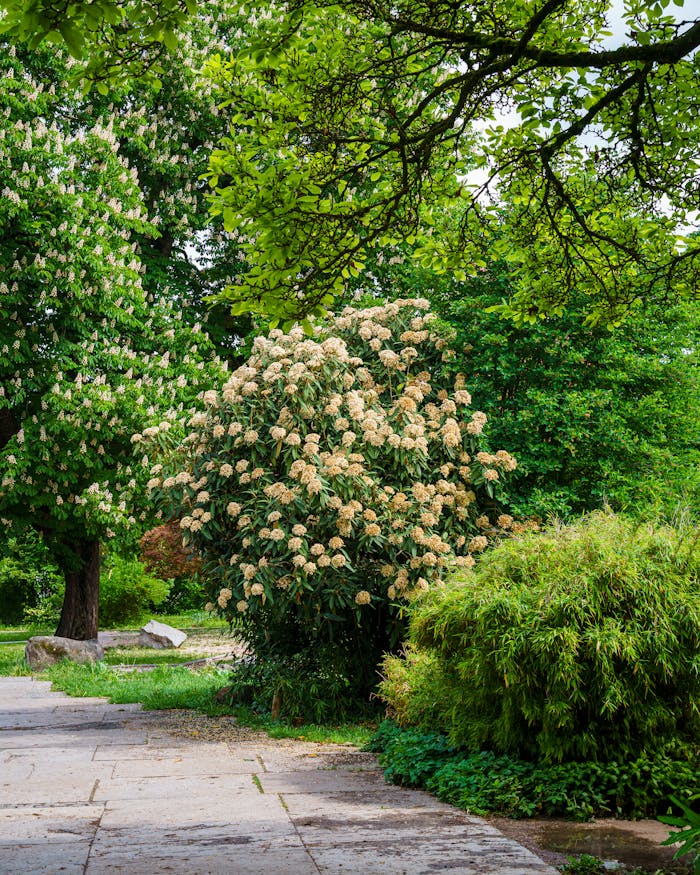 Free stock photo of architectural design, architecture, blooming flowers