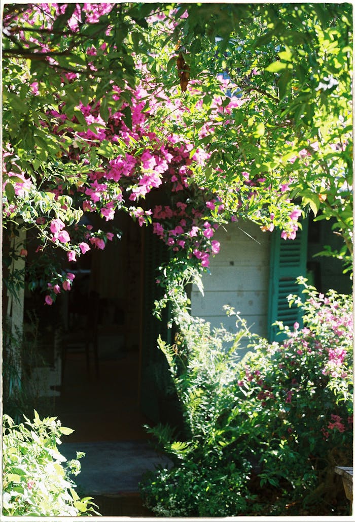 featured-portfolio-03